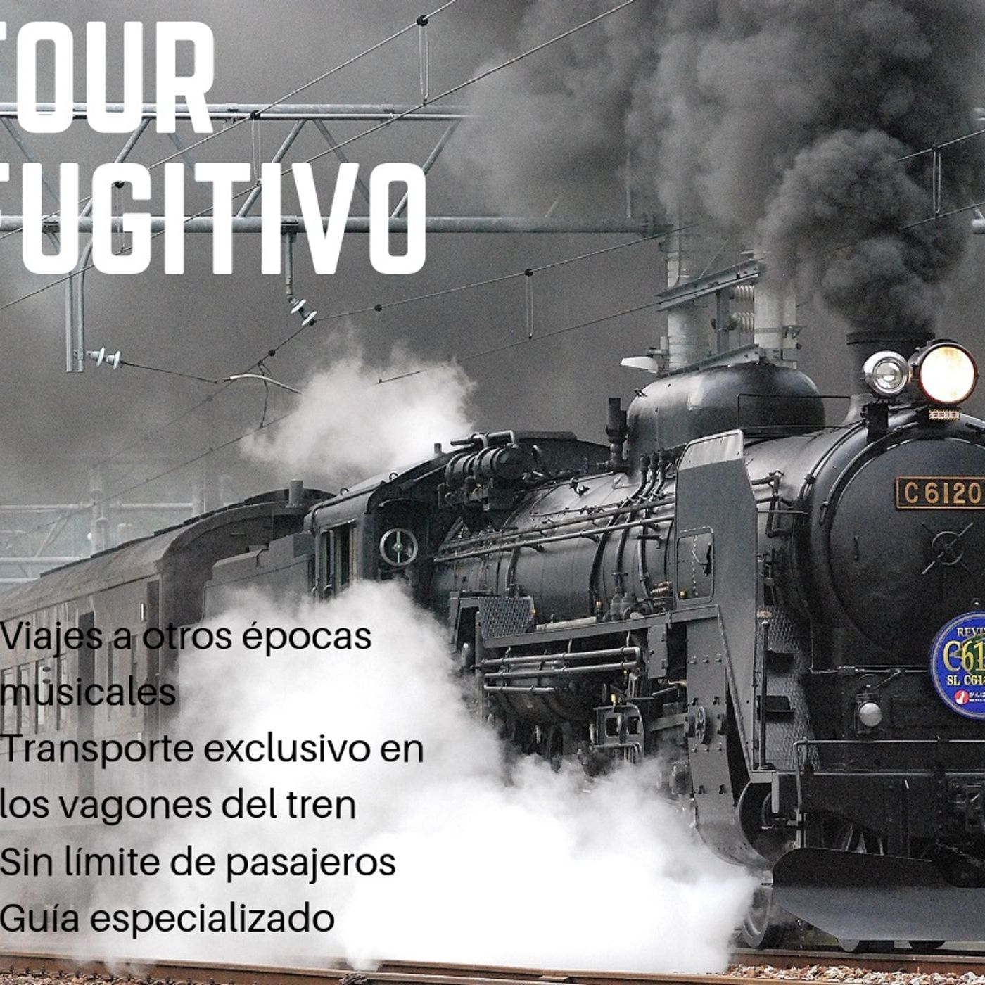 TREN FUGITIVO