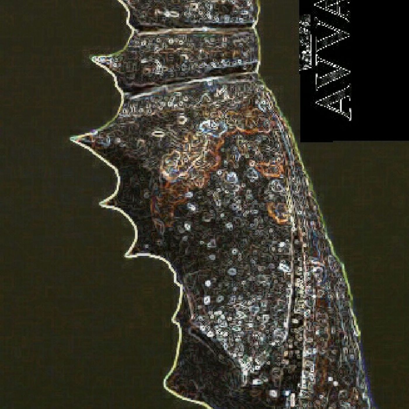 Crack The Chrysalis episode artwork