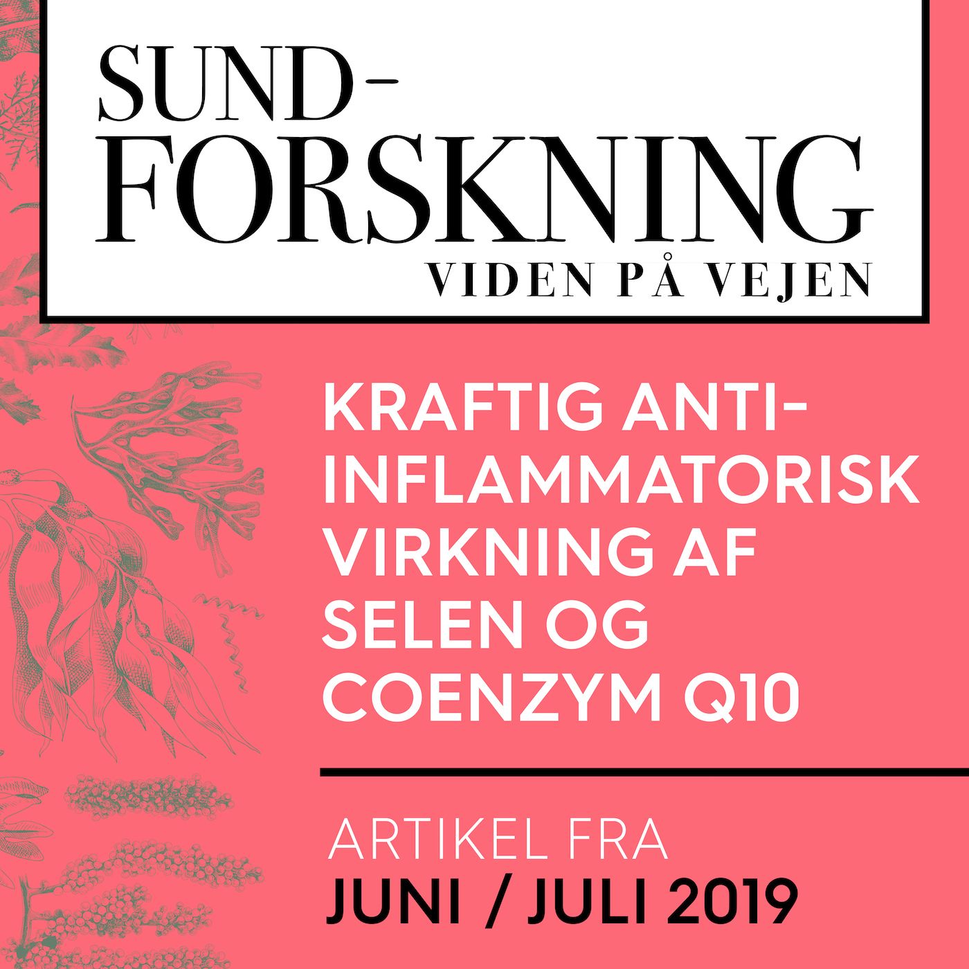 SUND-FORSKNING