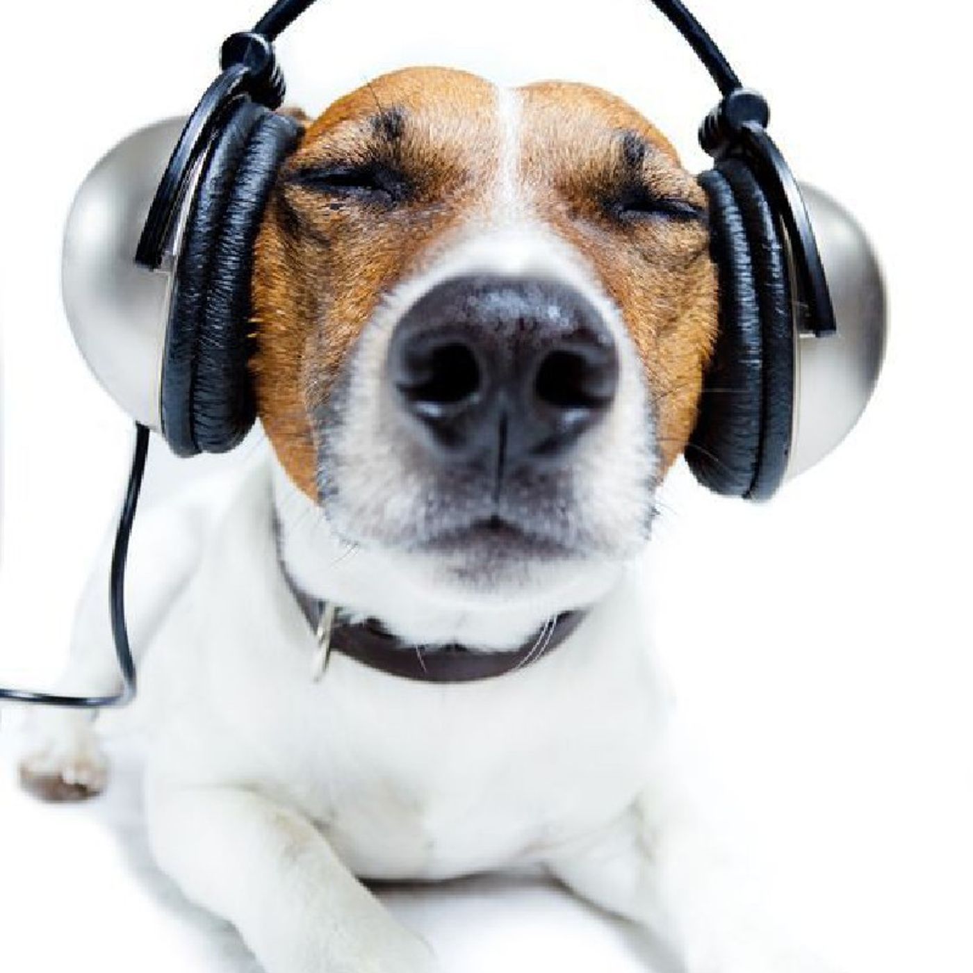Música latina episode artwork