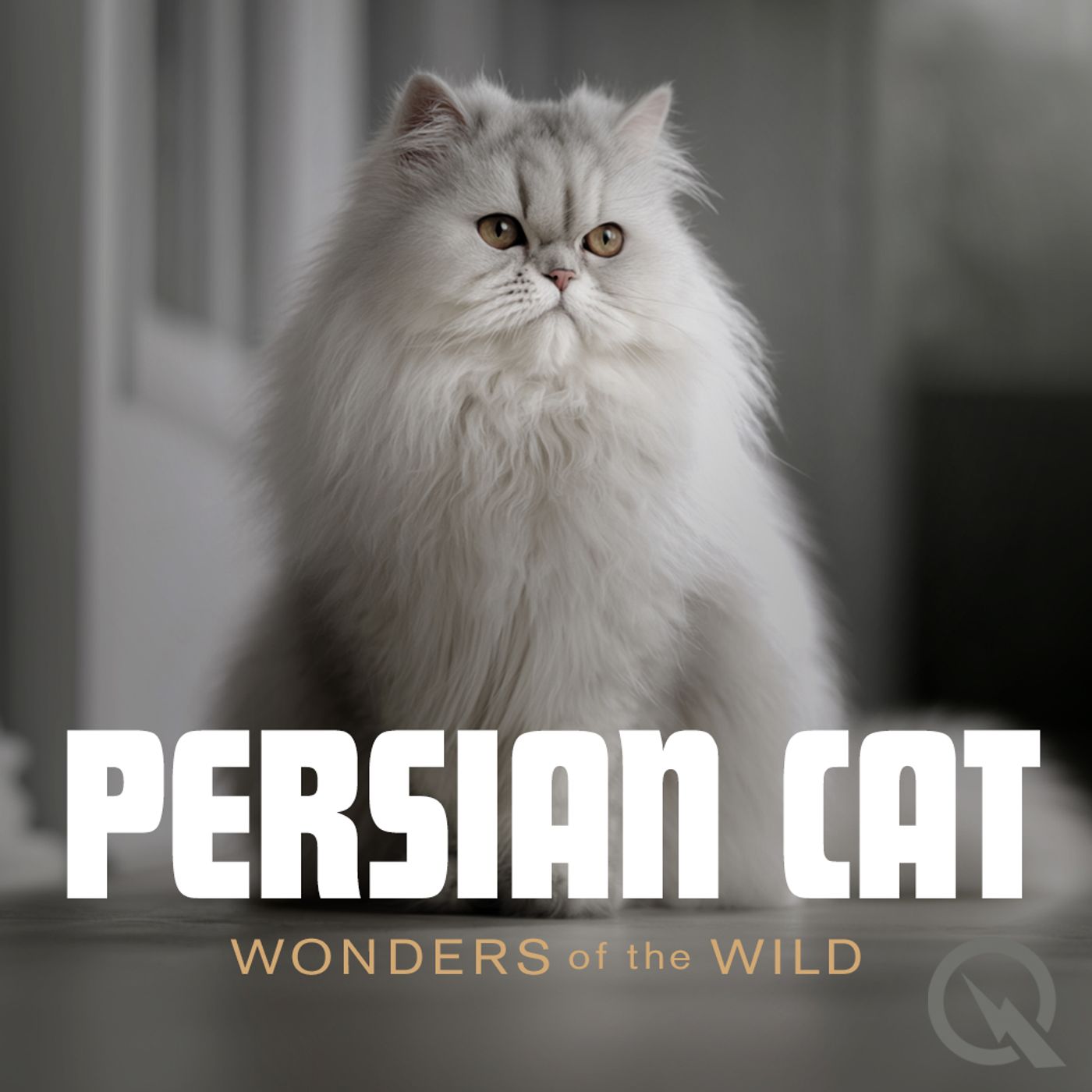 Persian Cat