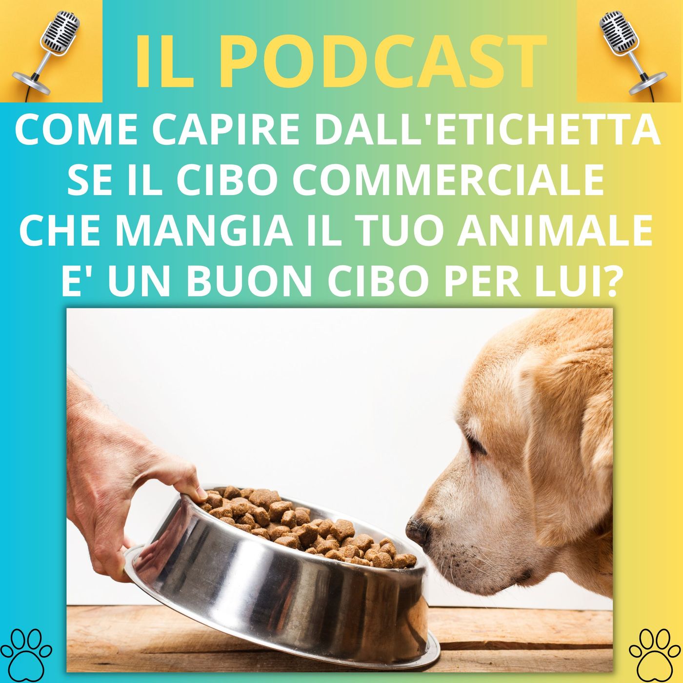 Cane&gatto: le domande più frequenti