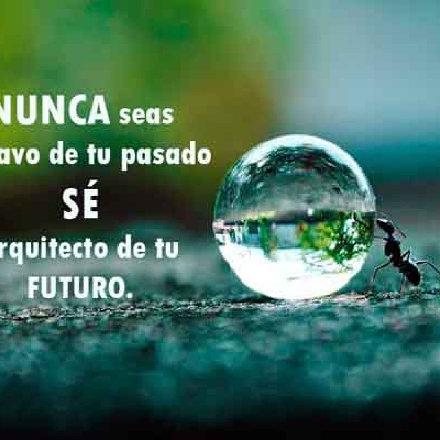 Arquitectos del Futuro