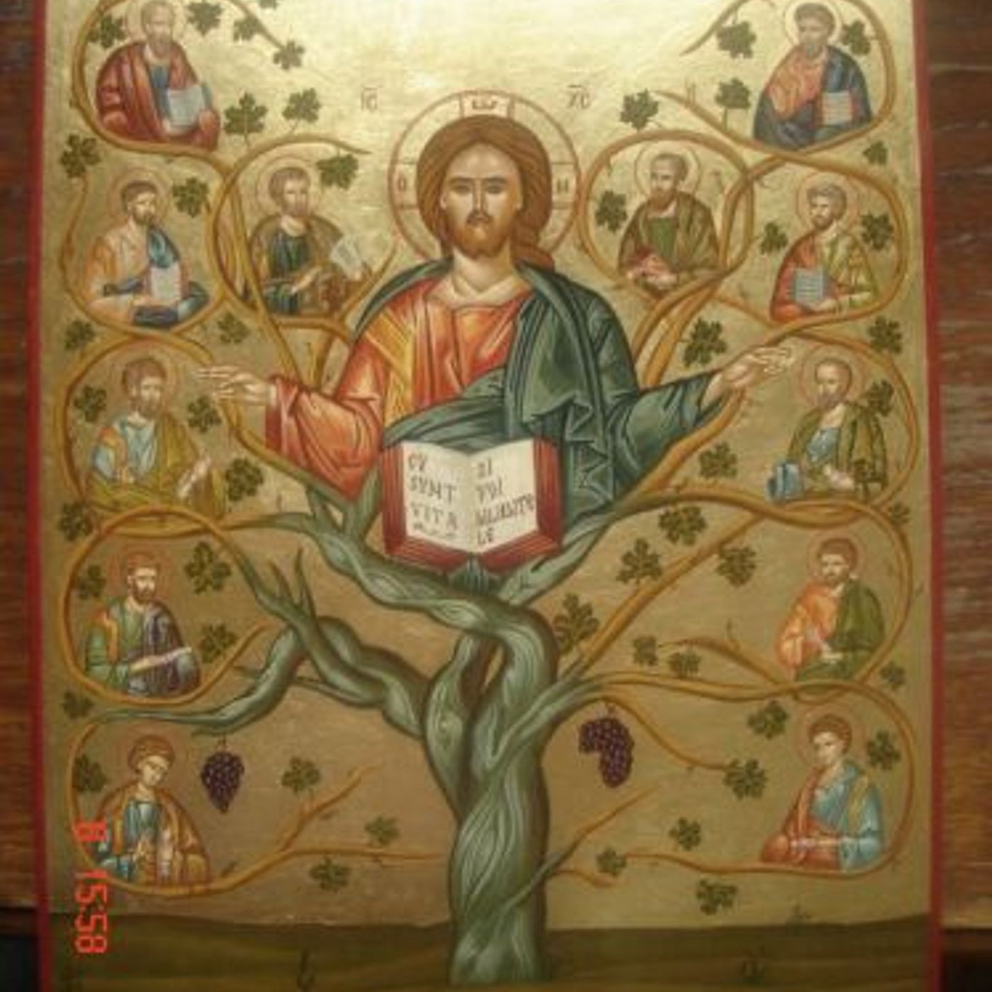 291_Secondo_anno_di_vita_pubblica_di_Gesu episode artwork