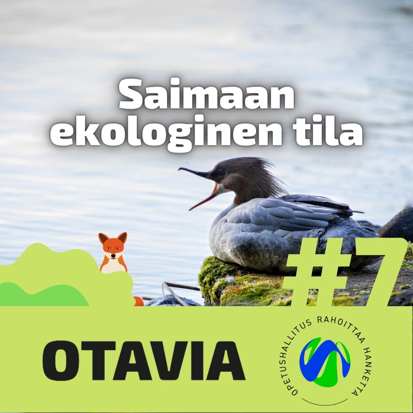 Ekoaavistuksia