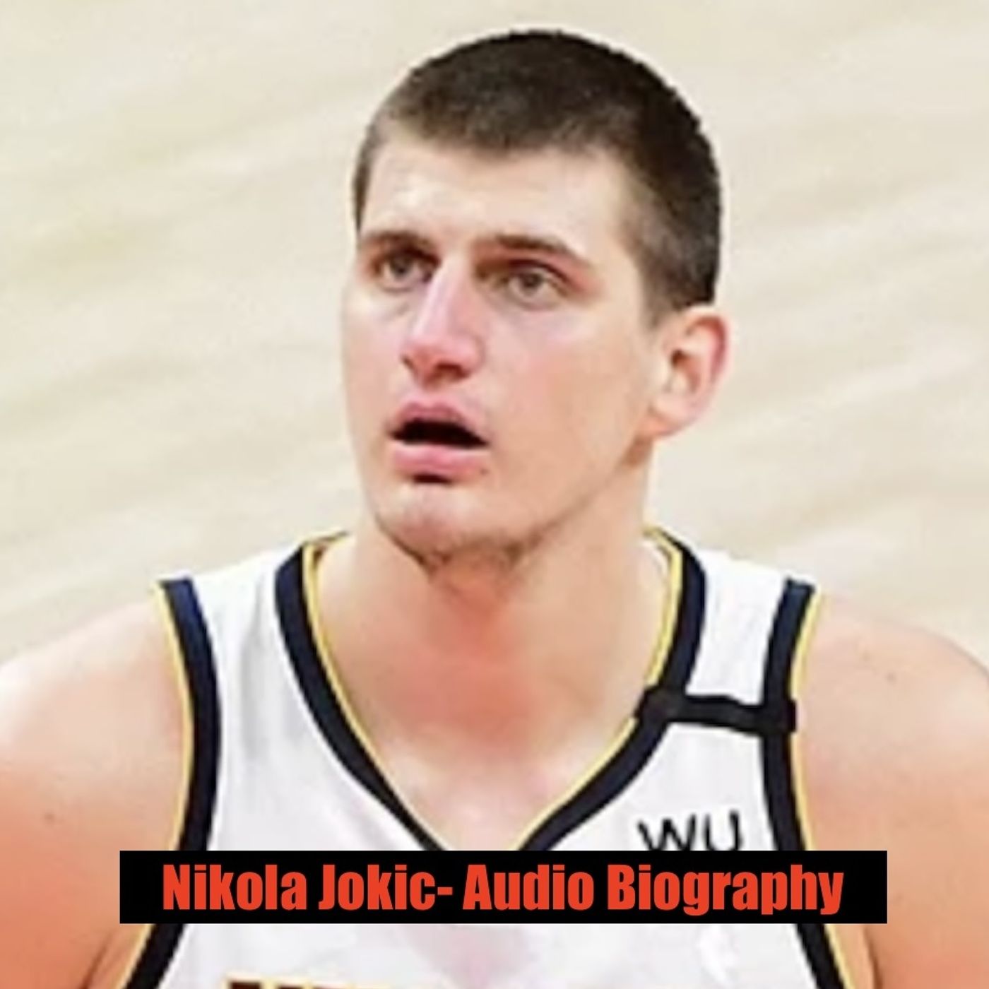 Nikola Jokic - Audio Biography