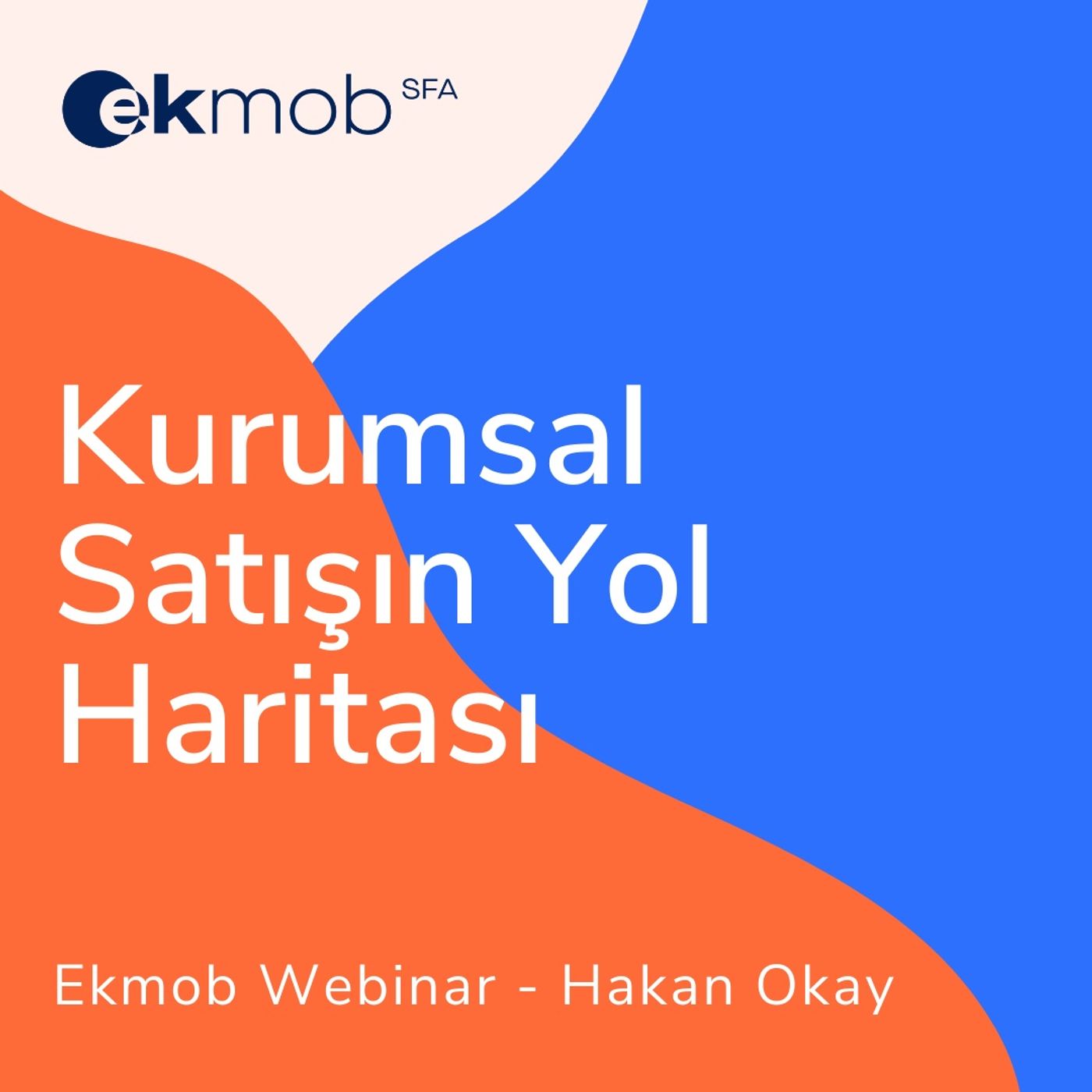 Satış Ekibi Yönetimi