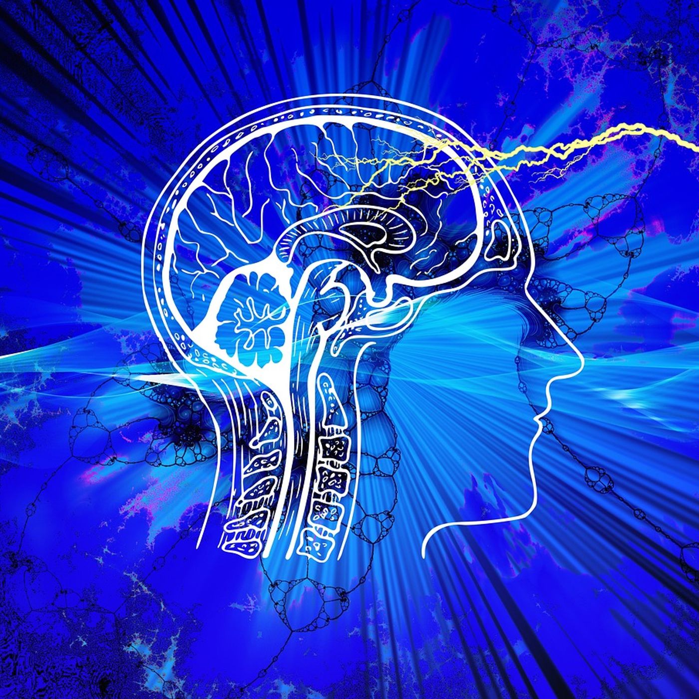 Empathy intelligence in organization episode artwork