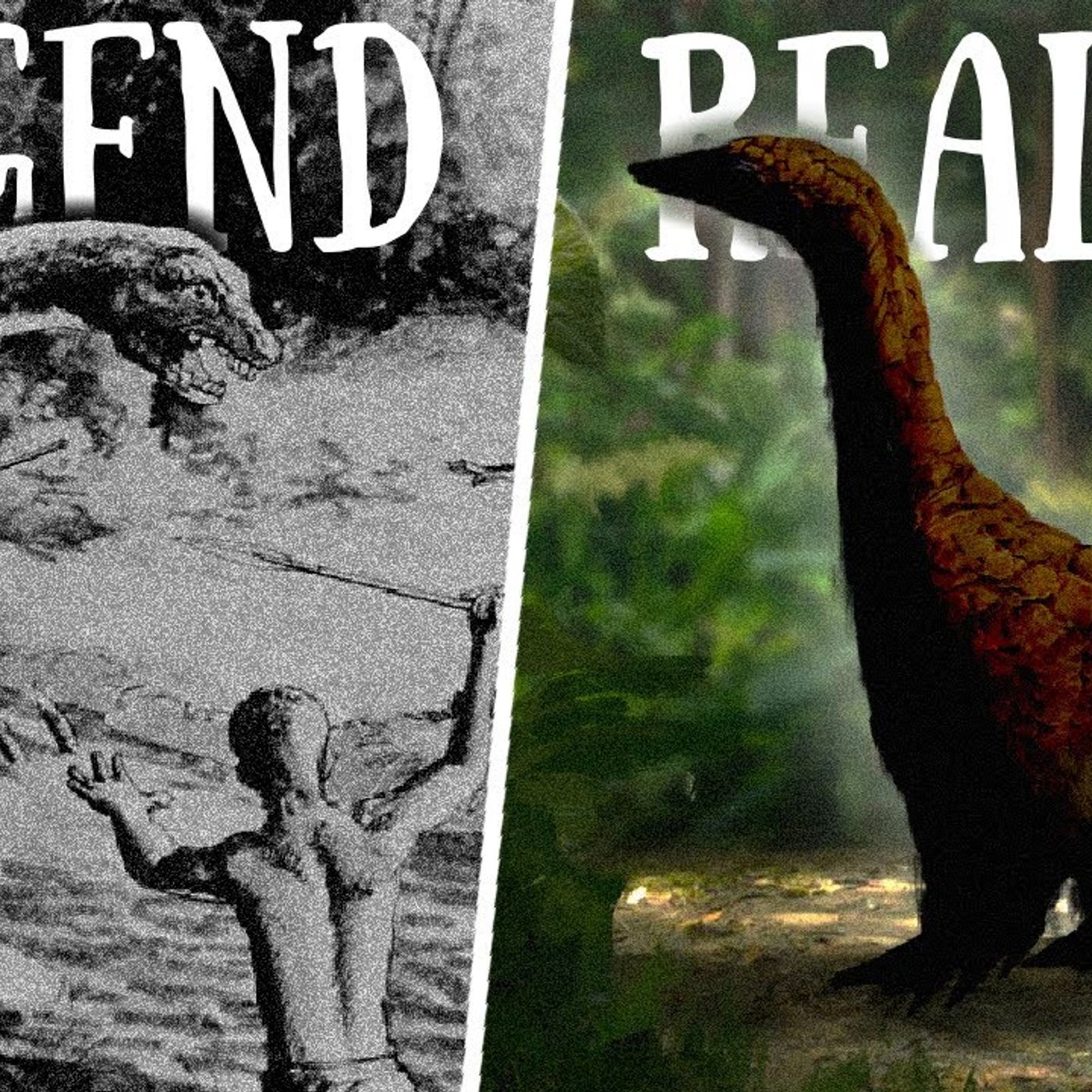 Two Creatures, One Legend_ The Biology of the Mokele Mbembe episode artwork