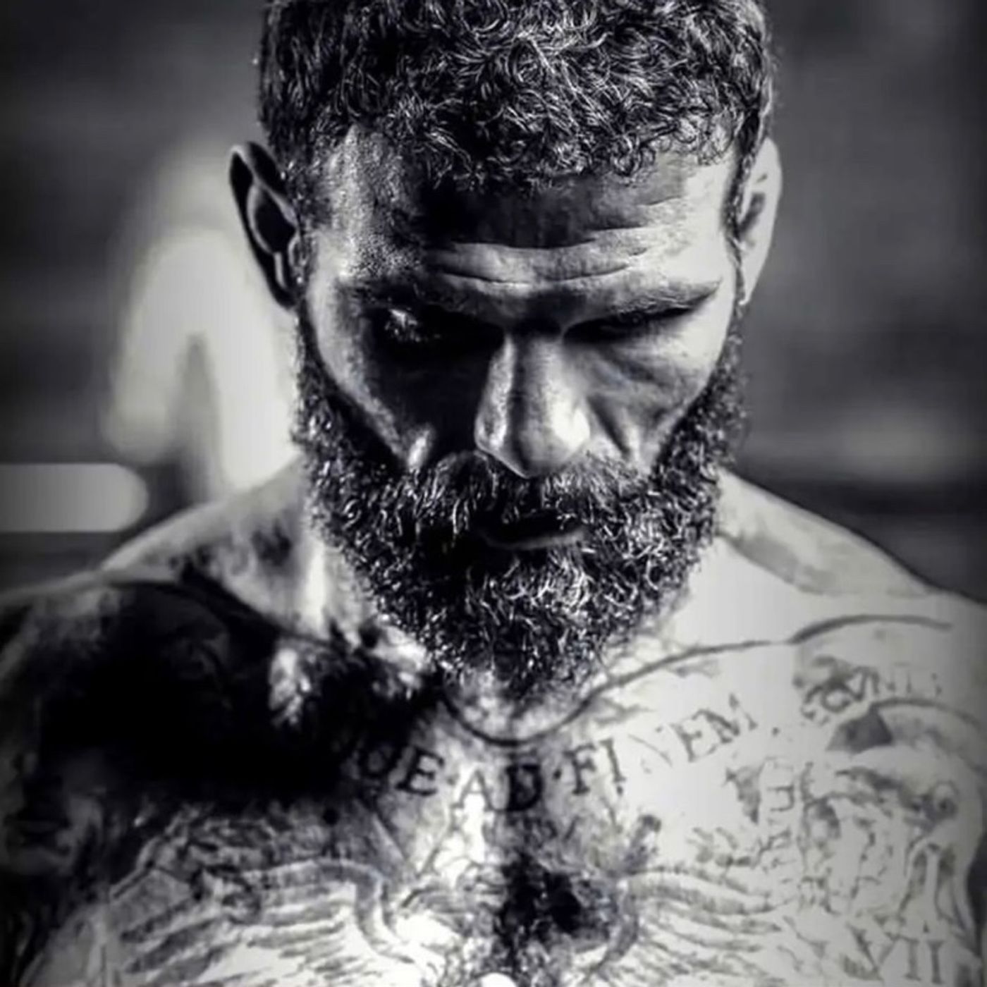 Legionarivs Mindset-USQUE AD FINEM