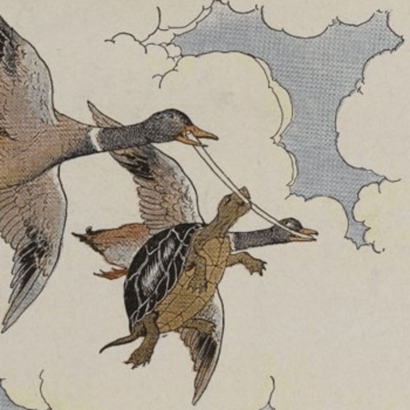 The Tortoise and The Ducks episode artwork