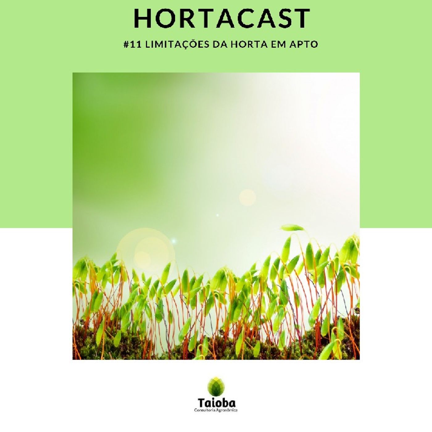 HortaCast\'s show