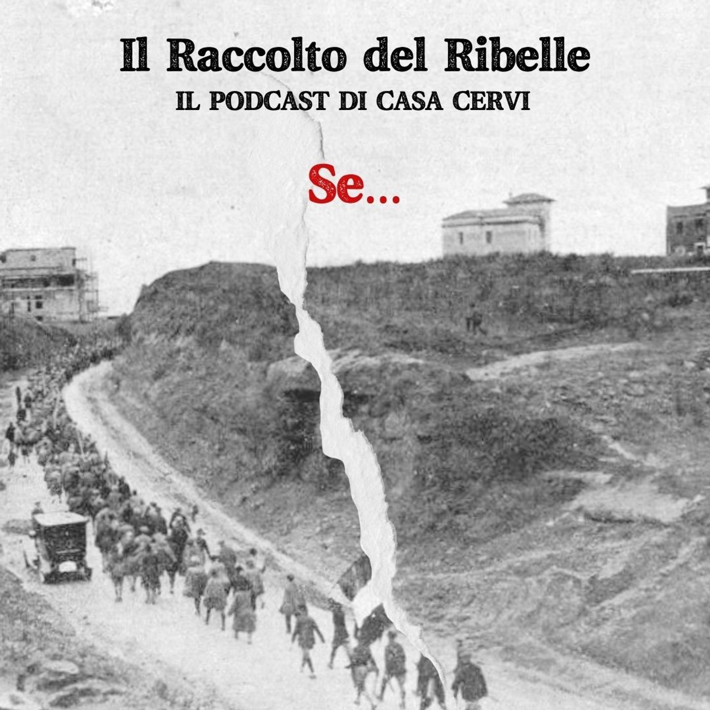 Il Raccolto del Ribelle