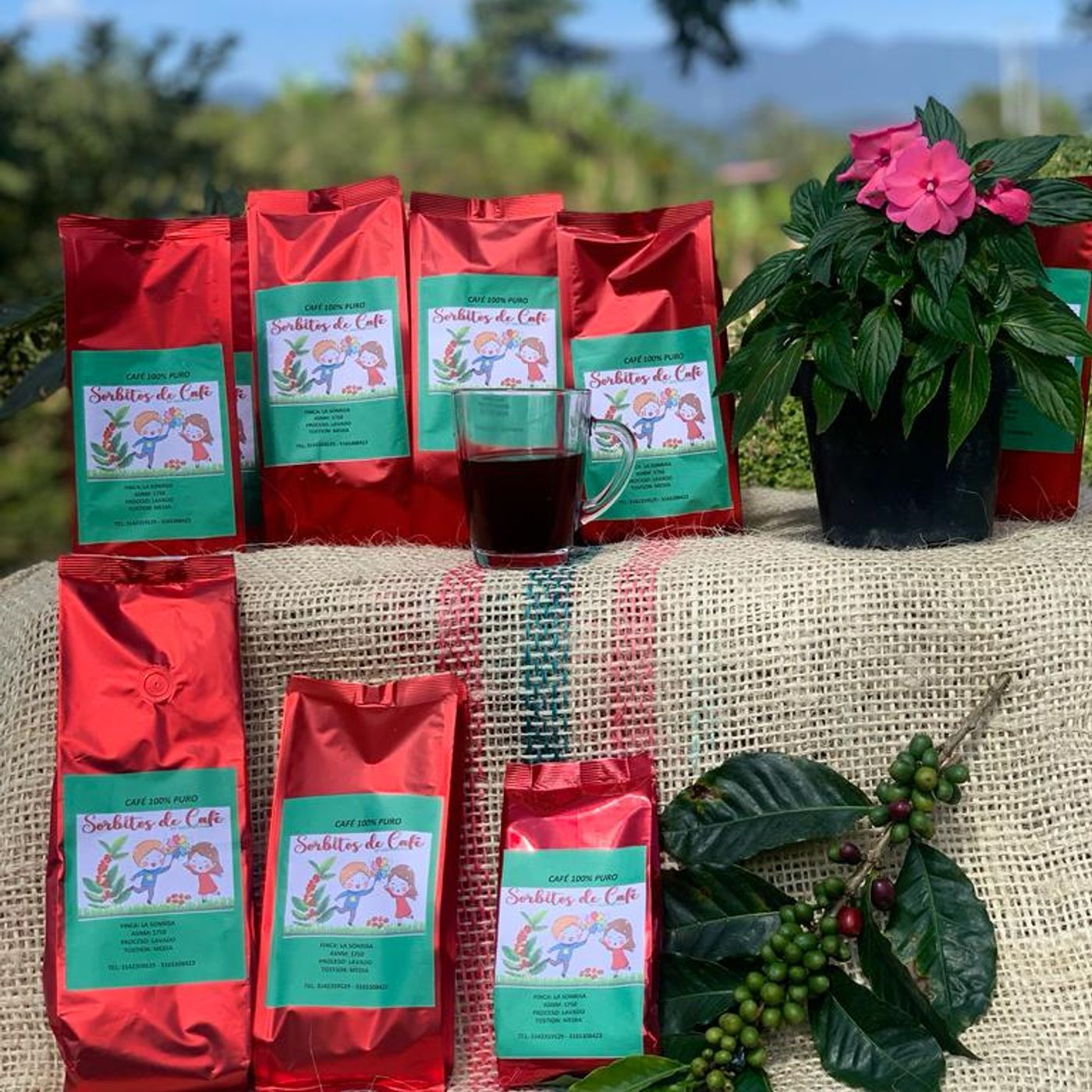 Evidencia GA4-240202501-AA1-EV02. Audio