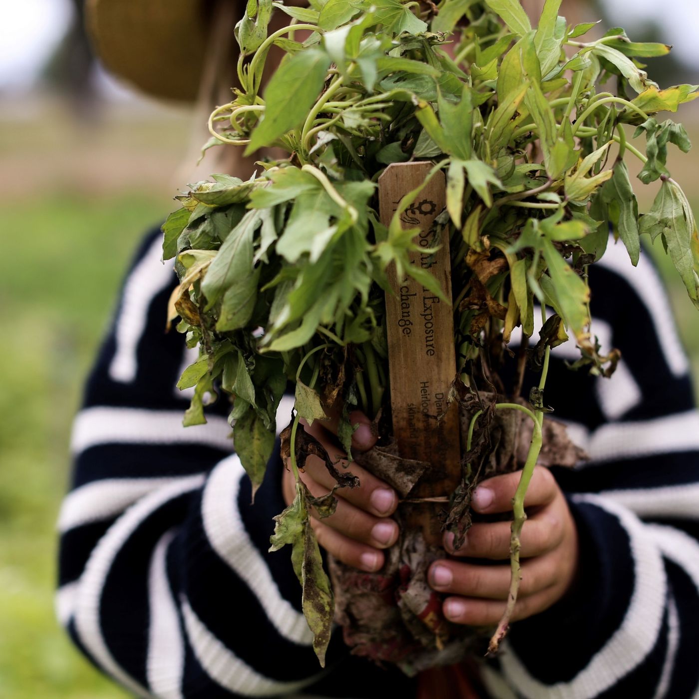 3 Reasons Earth Day Is Important for Farmers and Their Animals