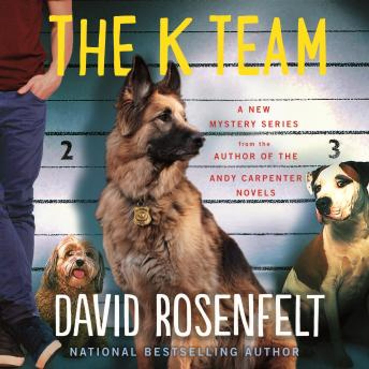 Full Audiobooks in Mystery, Thriller & Horror, Police & Detective