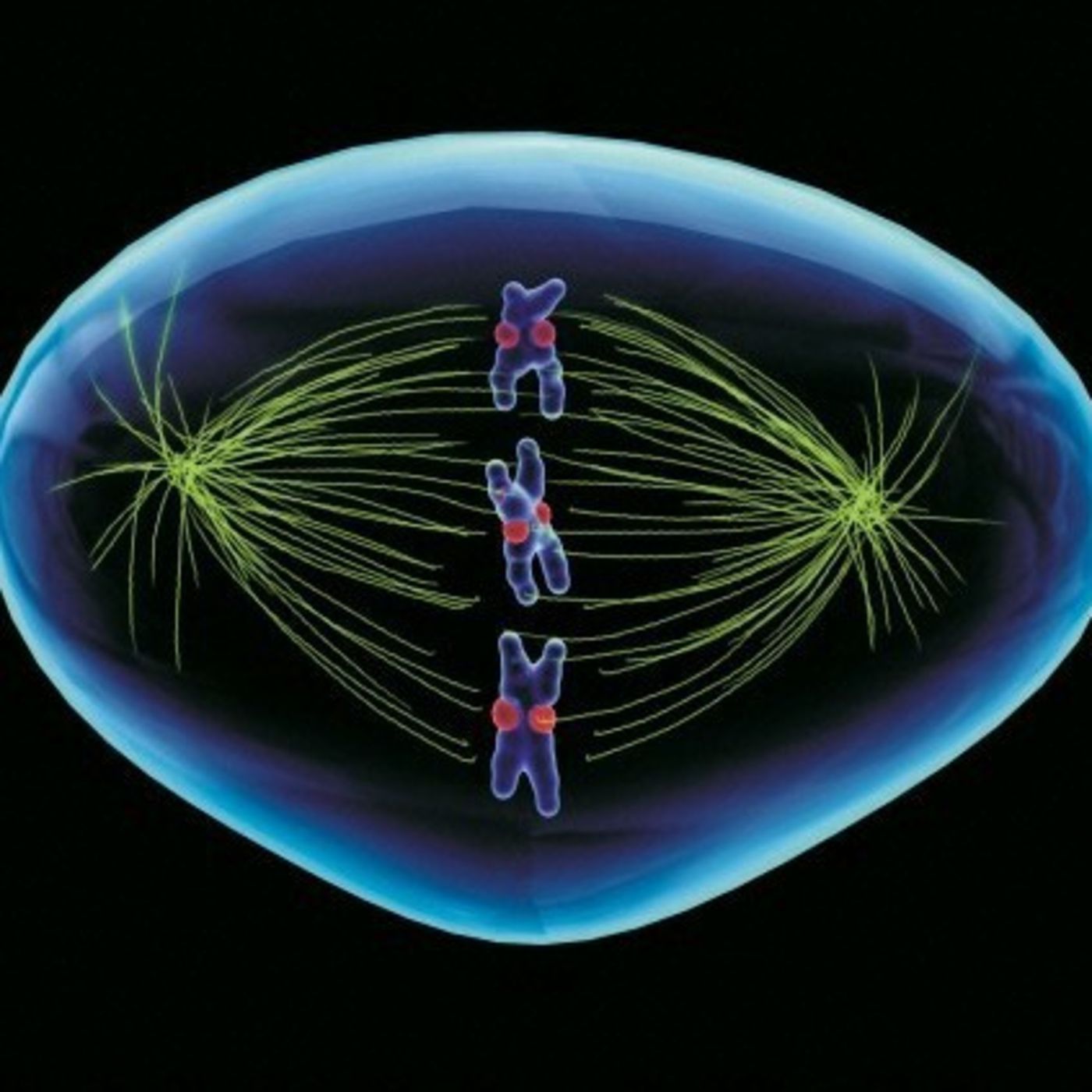 Cuéntame de Ciencia