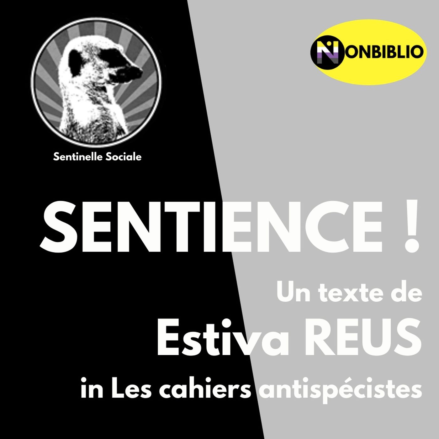 Sentience ! - Estiva Reus