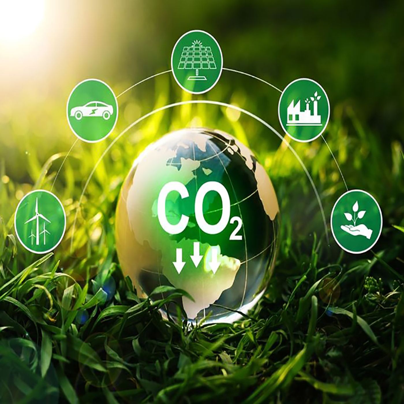 Finanza sostenibile al Cop30 e accordi Mercosur con UE: a metà del guado episode artwork