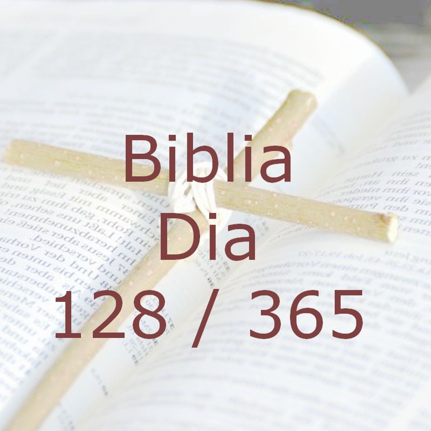 La Biblia en 365 dias