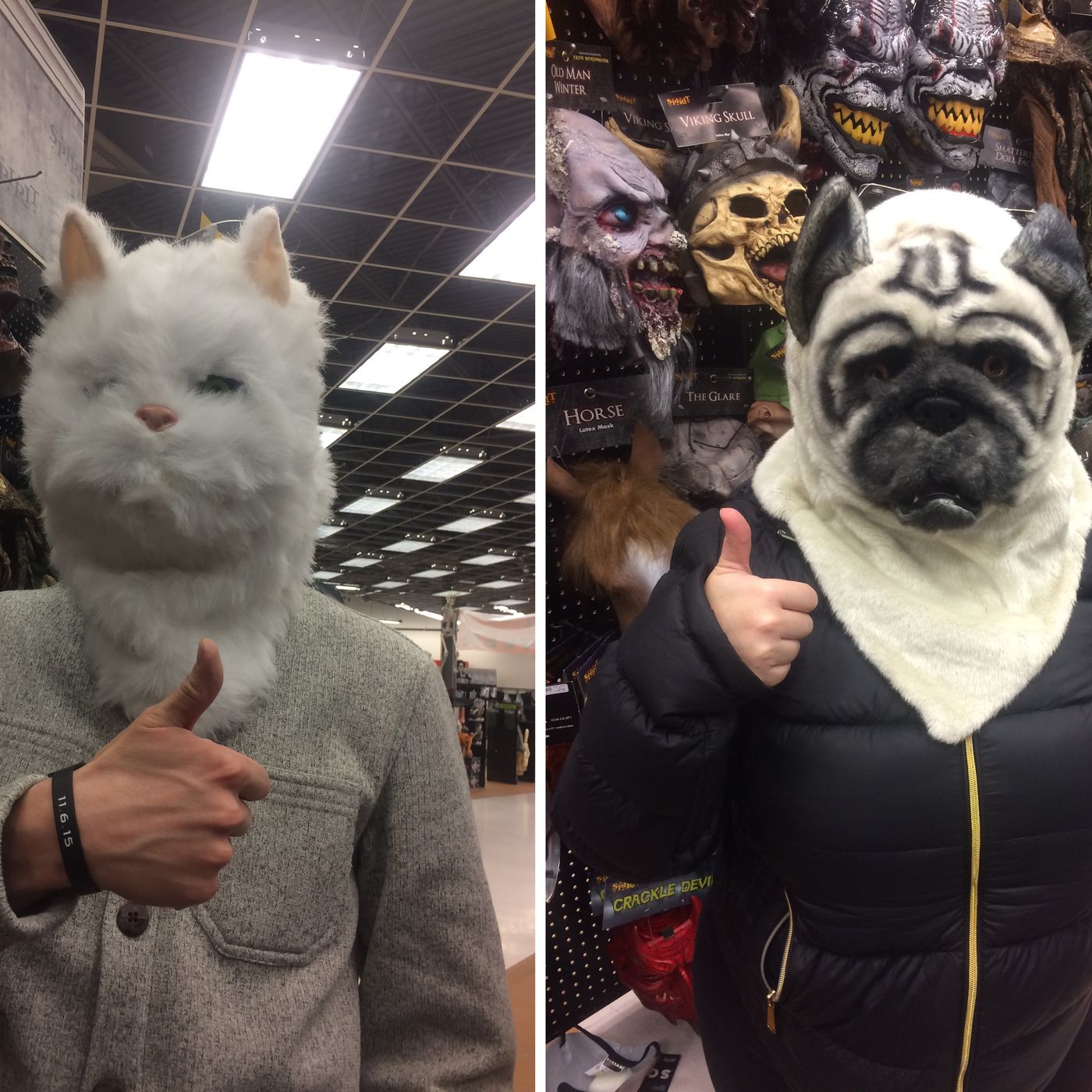 Married...With Baby Cat cover