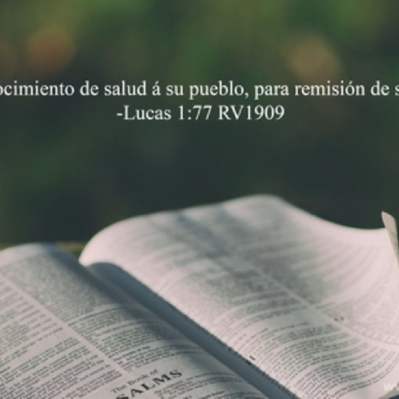 Jefferson J Silva