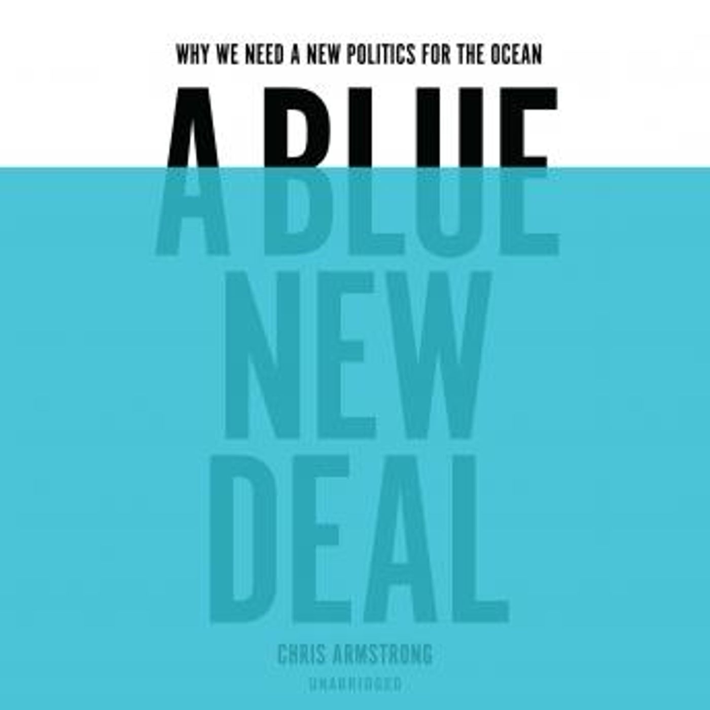 A Blue New Deal: Why We Need a New Politics for the Ocean by Chris Armstrong episode artwork