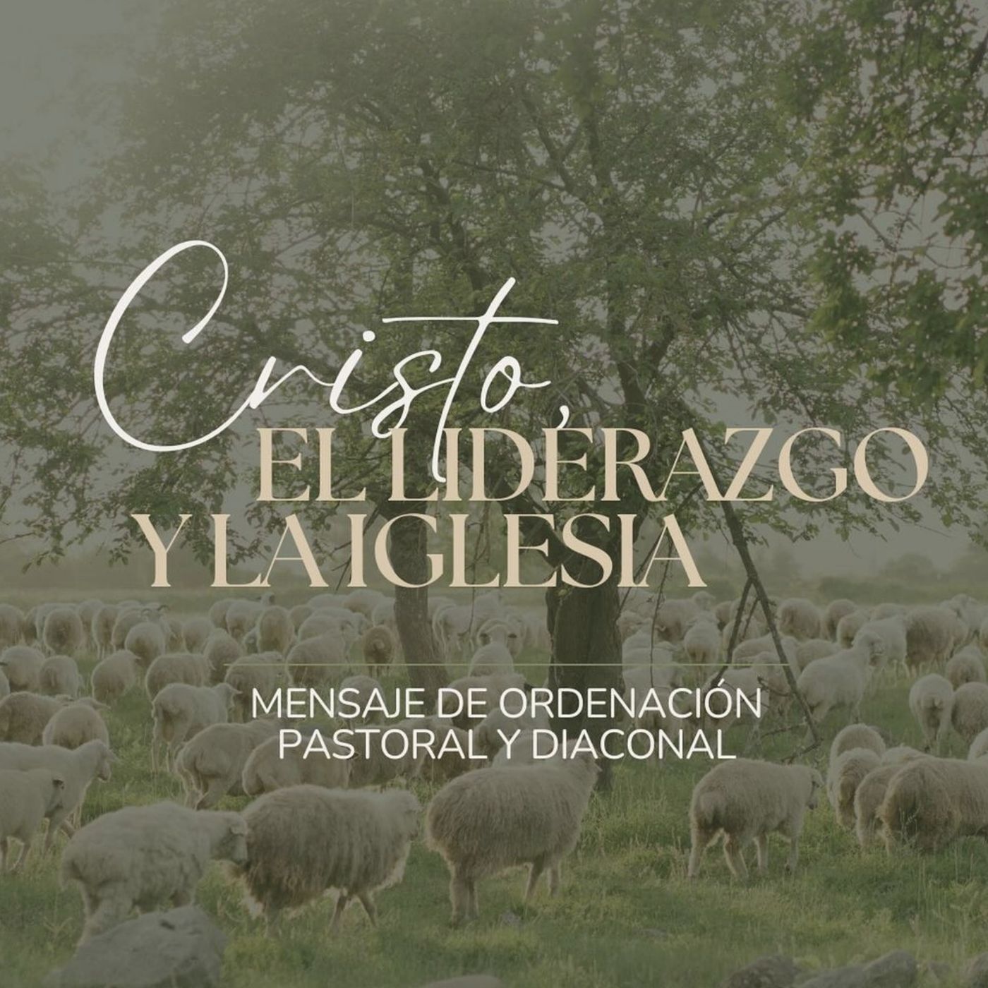 Portada de Iglesia Bíblica del Señor Jesucristo