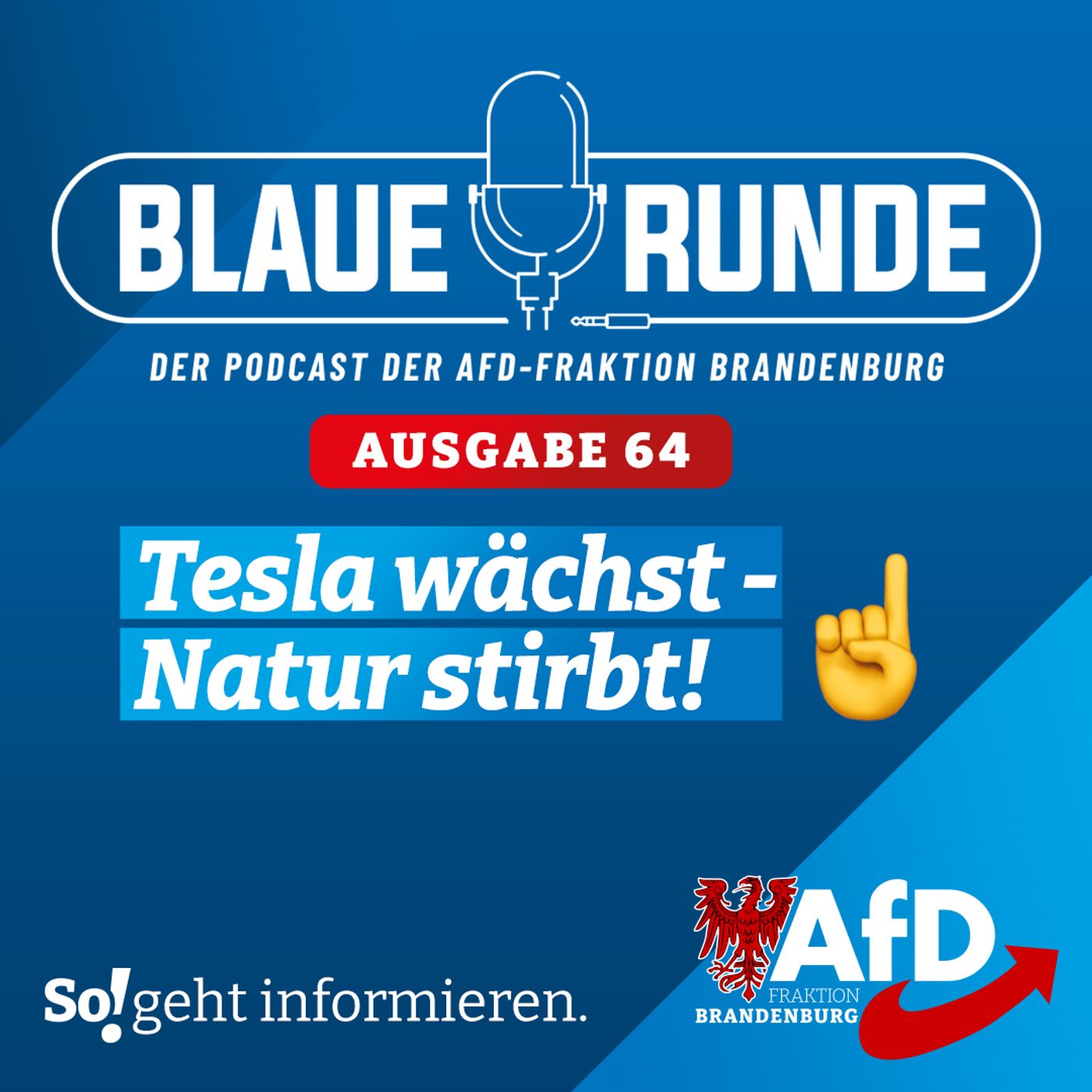 Die Blaue Runde - der Podcast der AfD-Fraktion Brandenburg