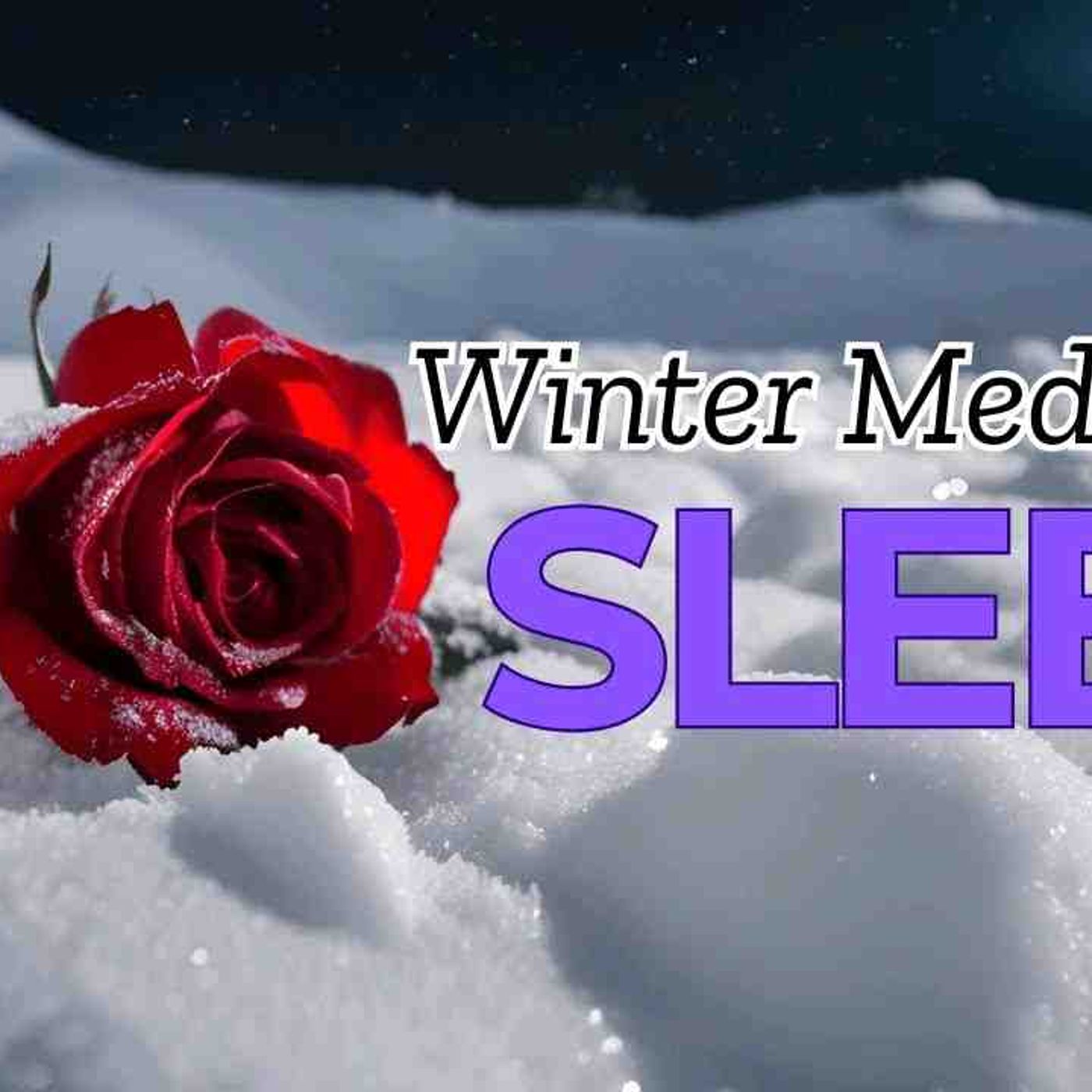 Voice Only Guided Meditation_ Winter Sleep Compendium(MP3_160K)