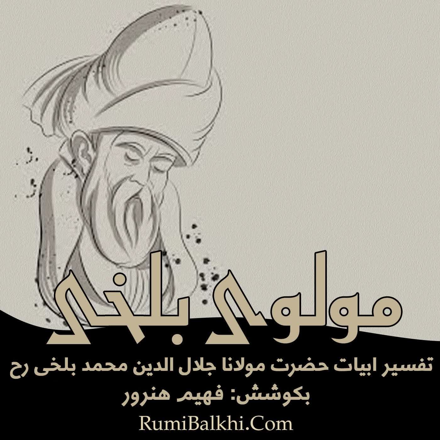 فکر زنبور است و آن خواب تو آب - مولوی بلخی