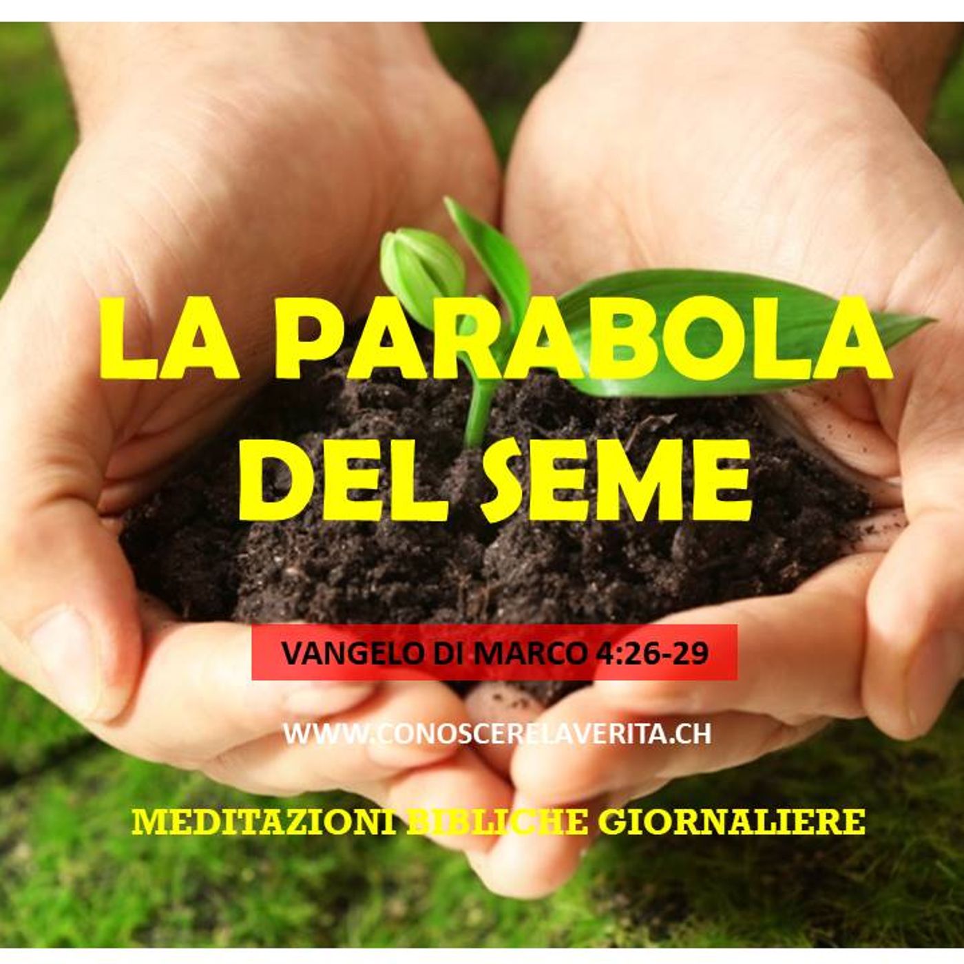 MEDITAZIONI BIBLICHE GIORNALIERE