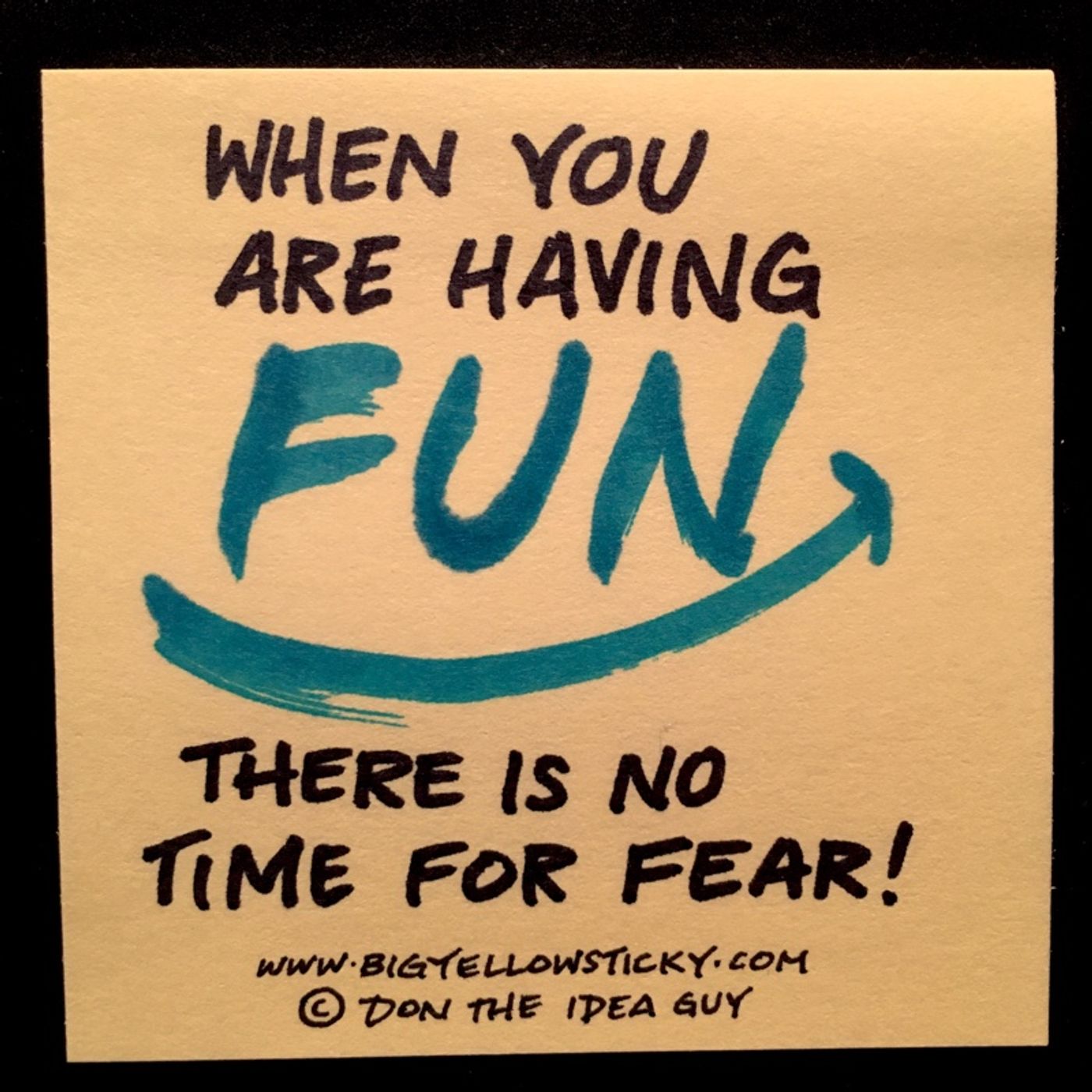 Have Fun Not Fear : BYS 218