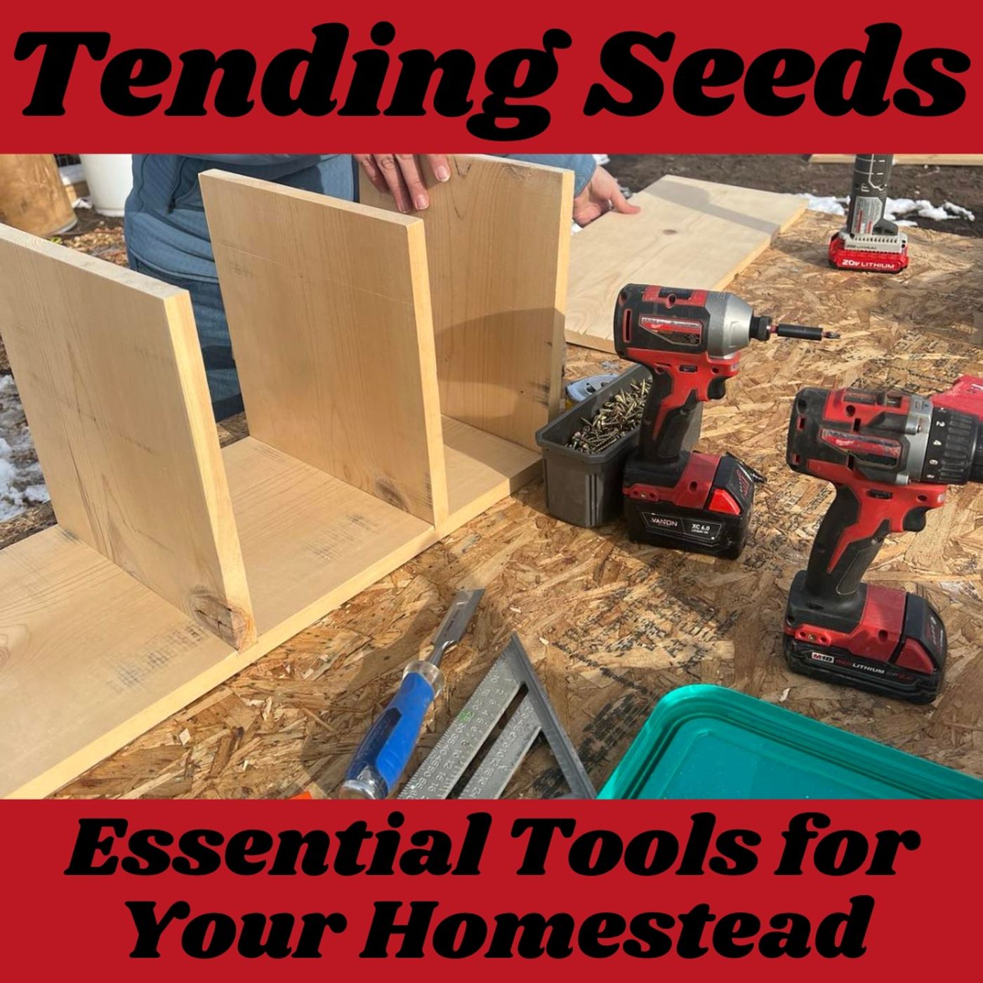 Tending Seeds: Adventures in Gardening