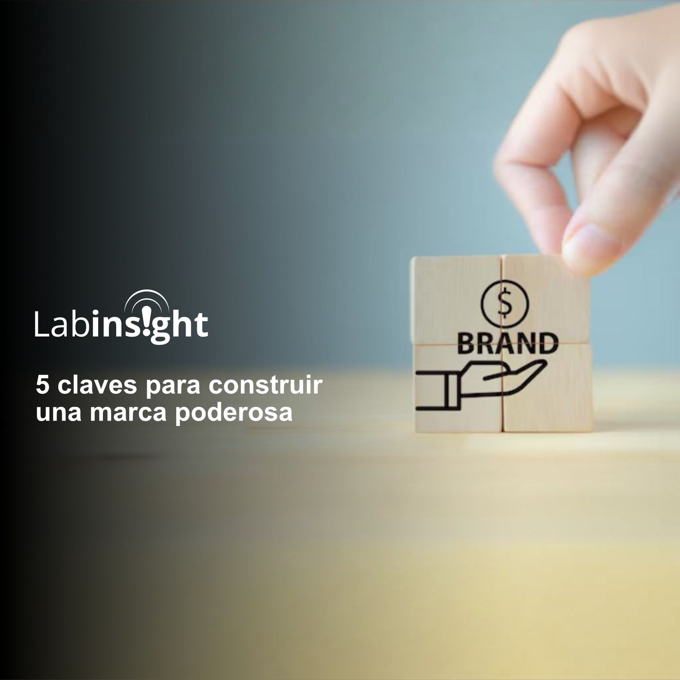 LabInsight