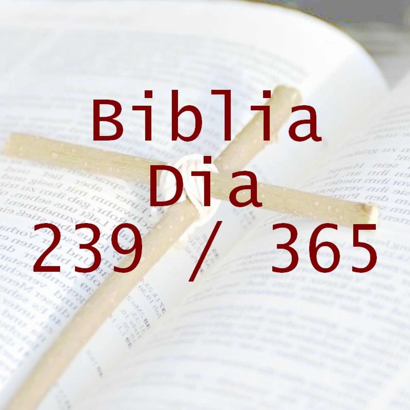 La Biblia en 365 dias