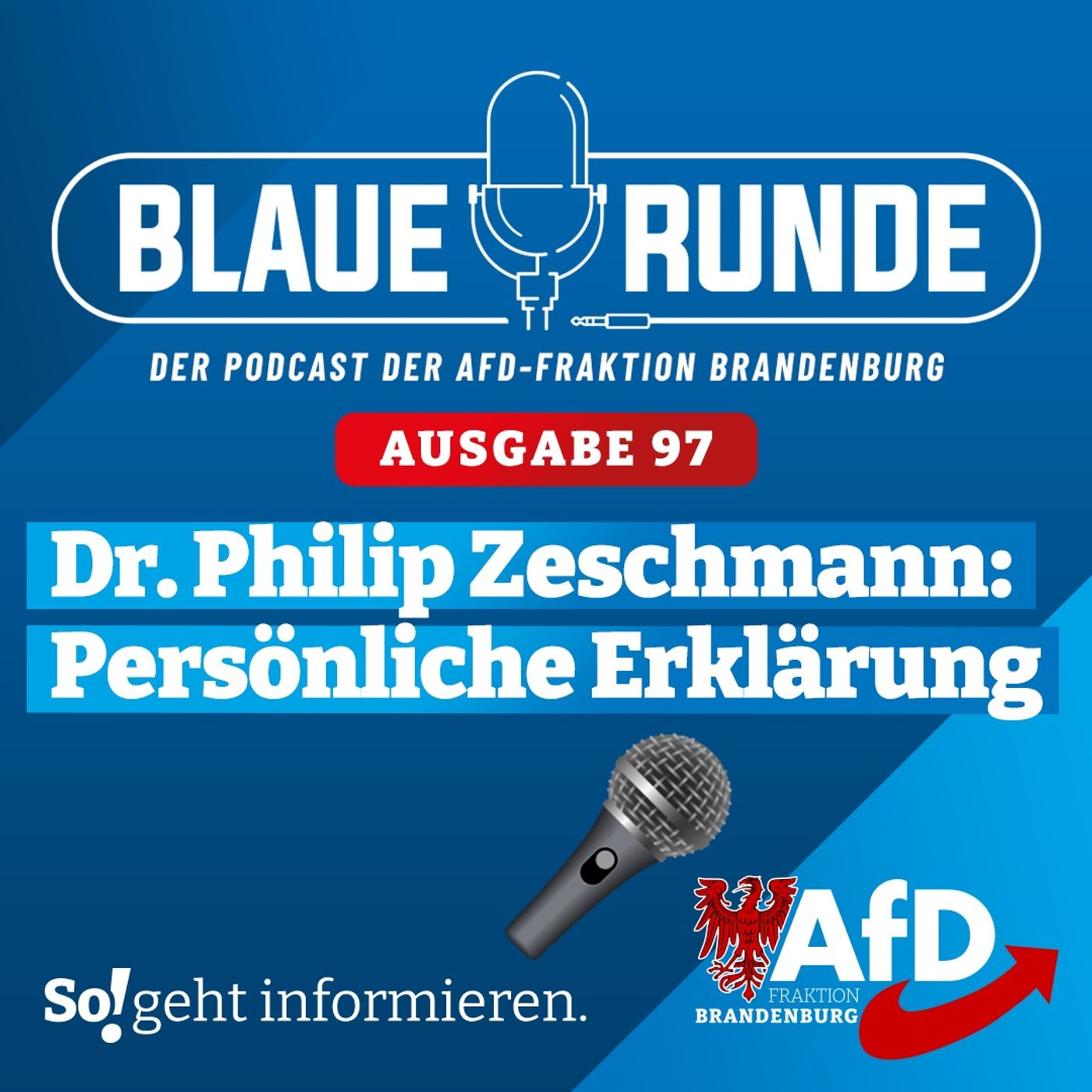 Dr. Philip Zeschmann: Persönliche Erklärung | Die Blaue Runde, Ausgabe 97/23 vom 22.11.2023 episode artwork