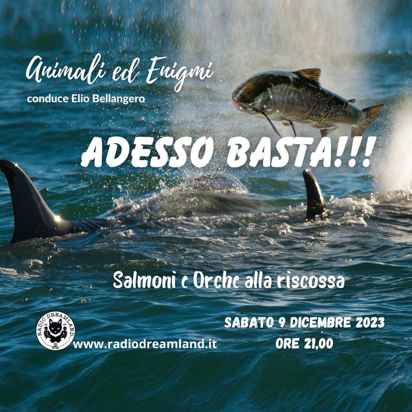 Adesso basta: Salmoni e Orche alla riscossa! episode artwork