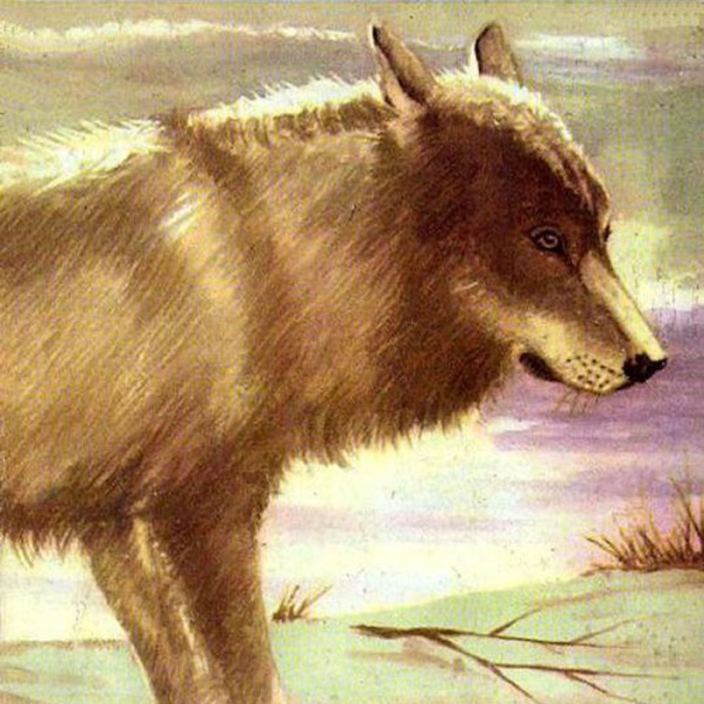 (Resumen) Loki, el lobo - C. Bernard Rutley