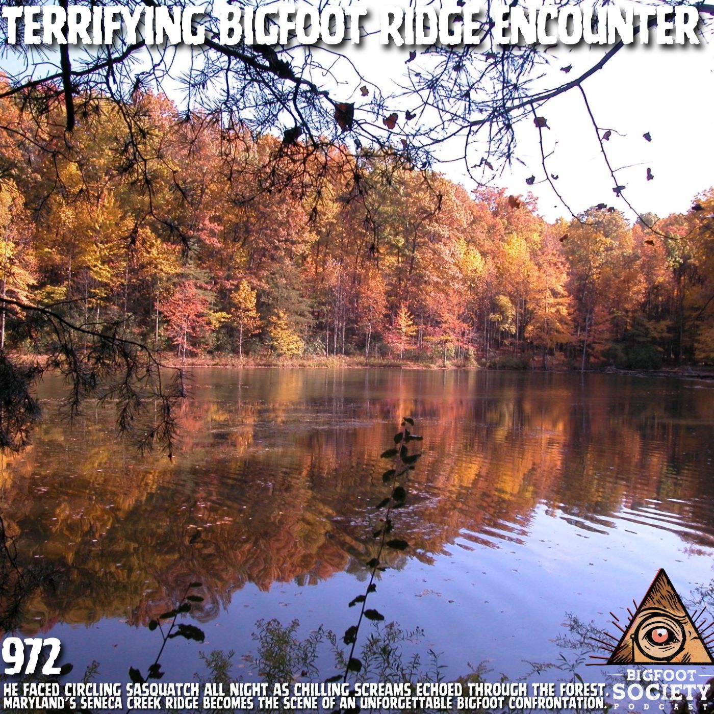 Anthropologist Encounters Sasquatch on Maryland’s Seneca Creek Ridge and Faces Pure Terror