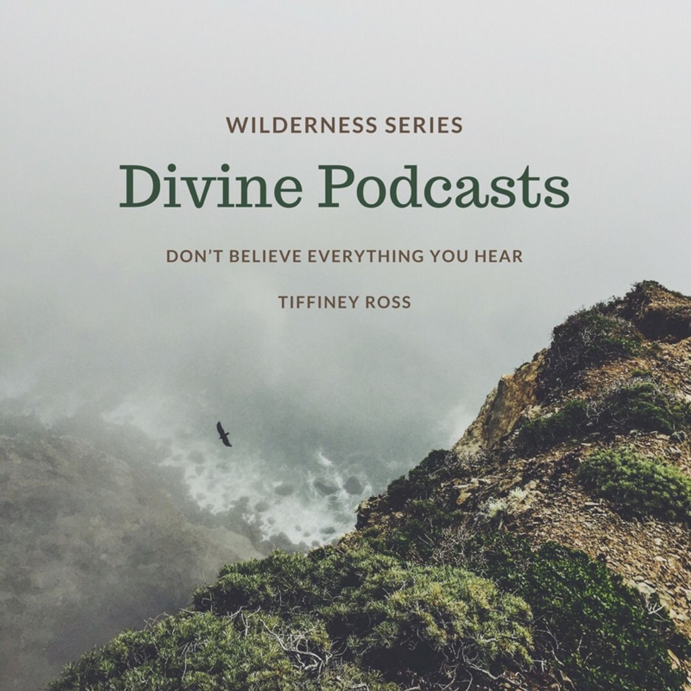 Don’t believe everything you hear episode artwork