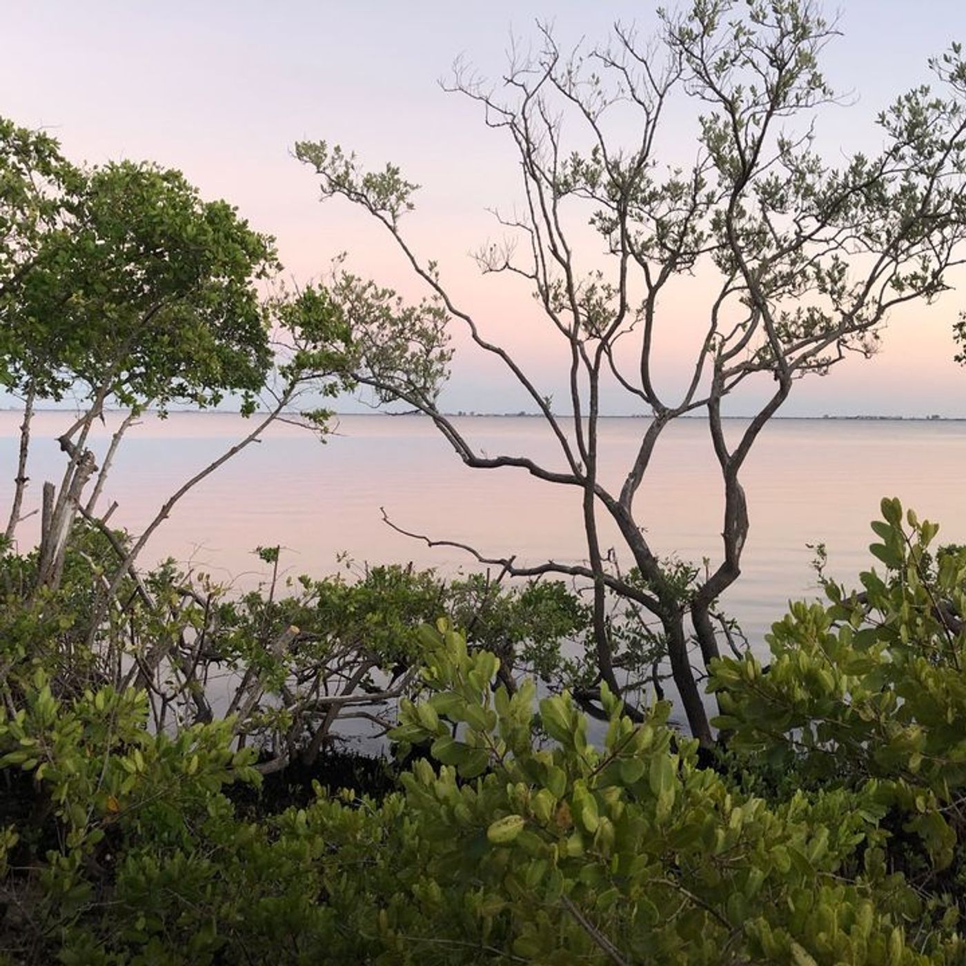 The Discussions With 'Dark Enlightenment' (So Far - Updated) - Part 2