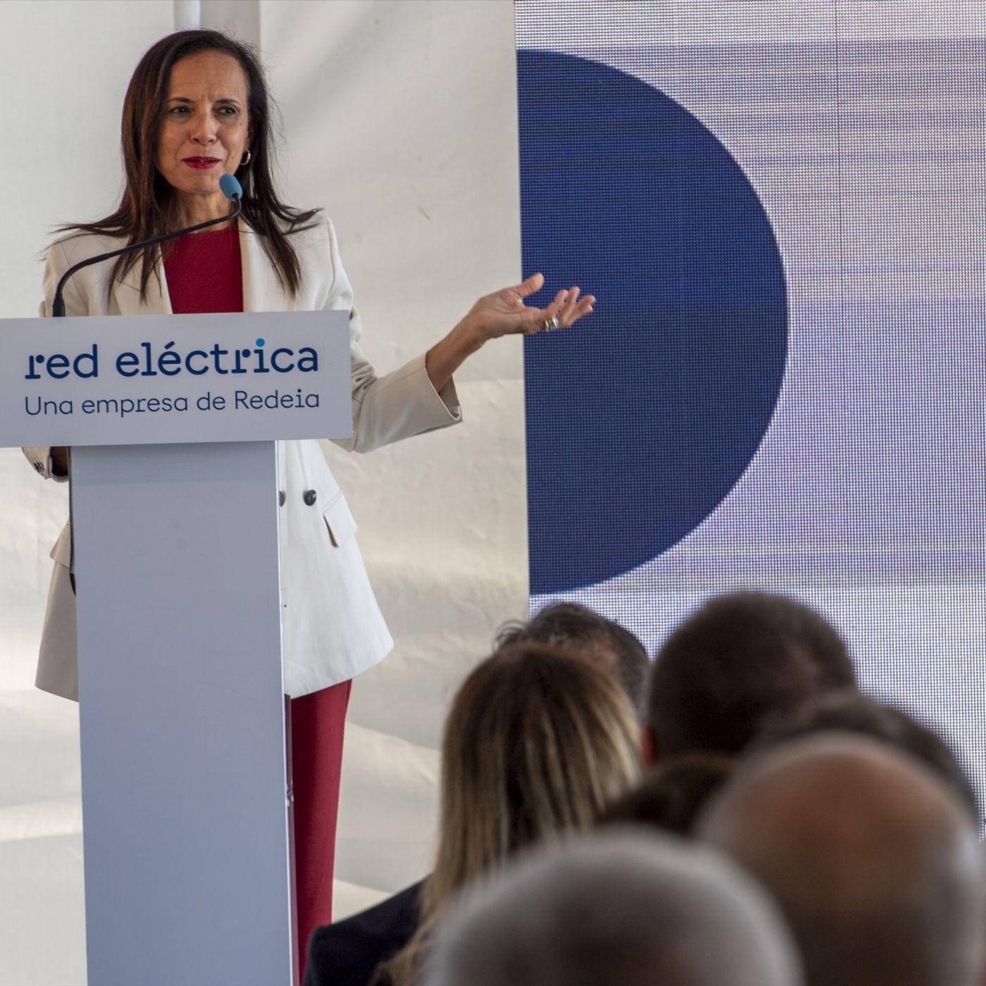 Prensa económica: La curva del pato, la maldición que persigue a Red Eléctrica