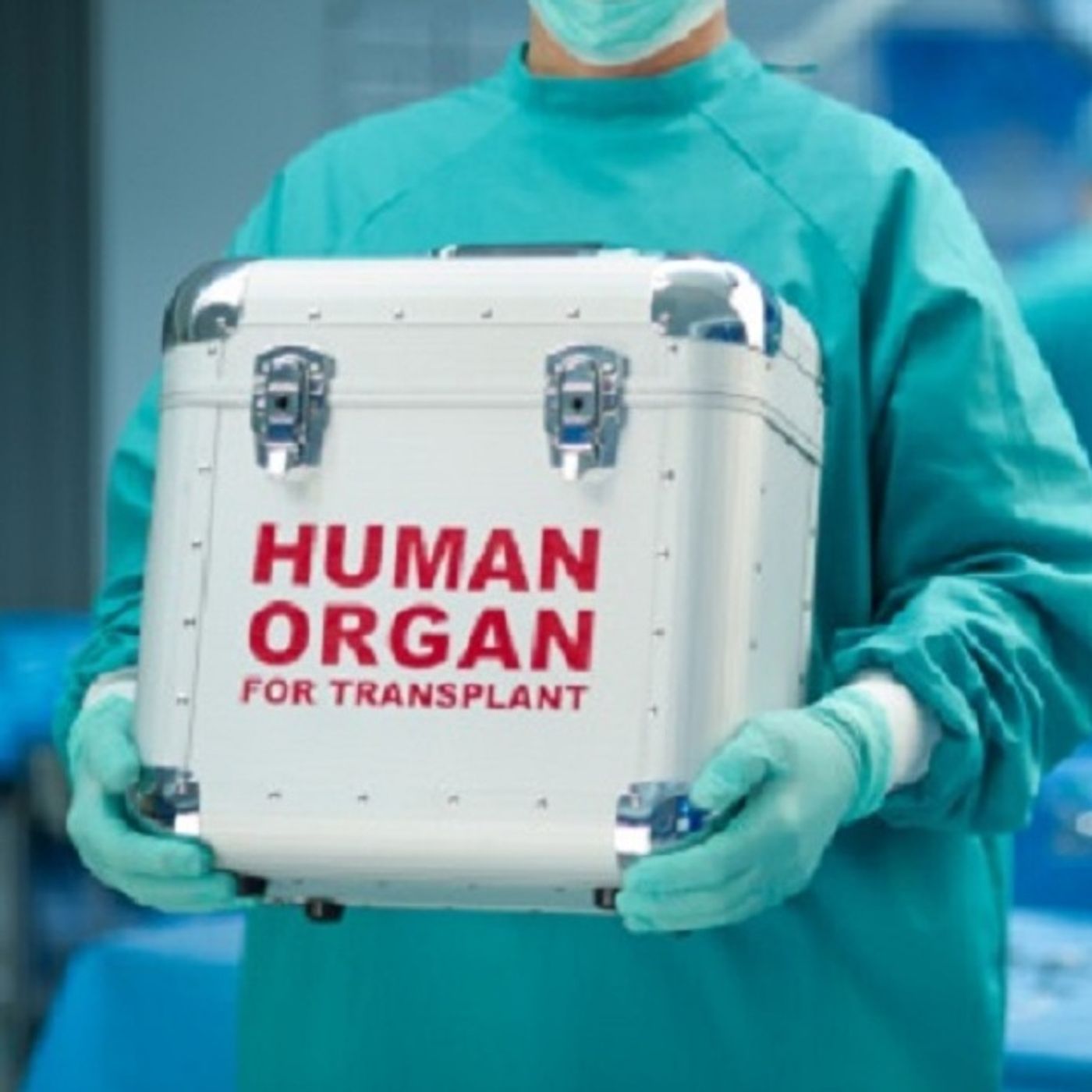 (Smile File) Doctor receives new kidney from a very unexpected donor episode artwork