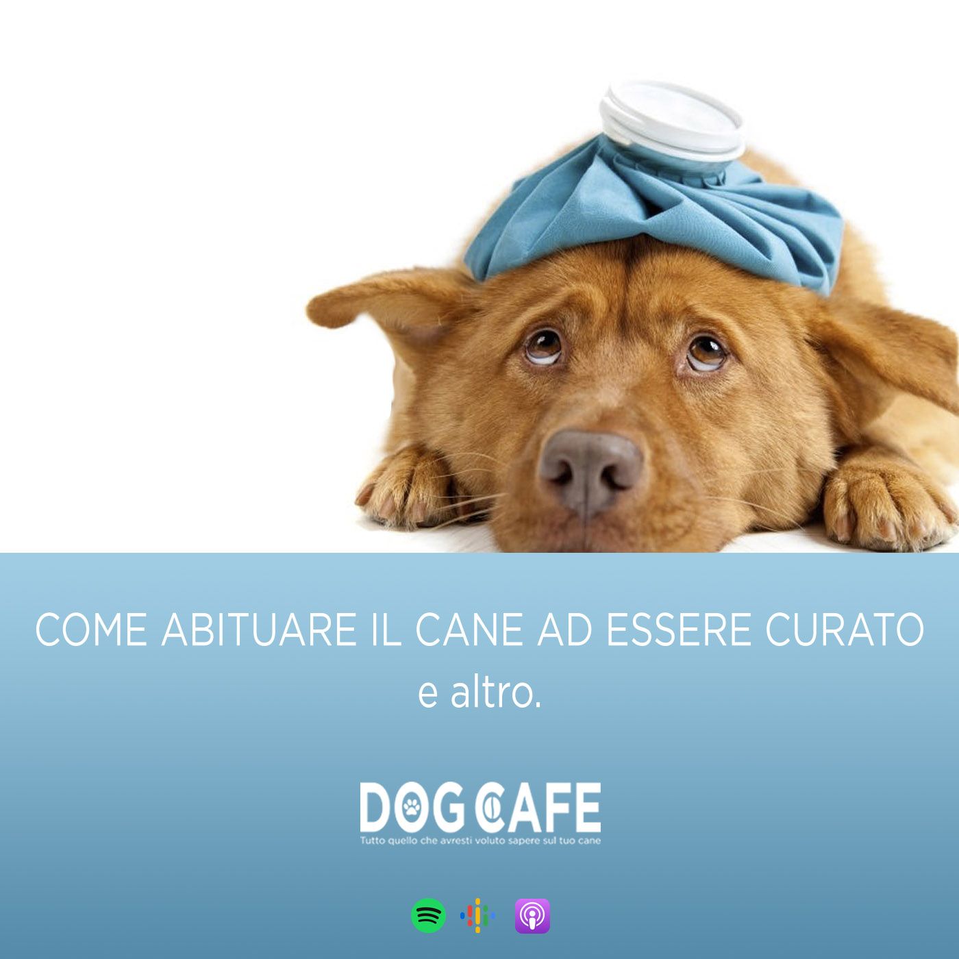 Dog Cafe Podcast