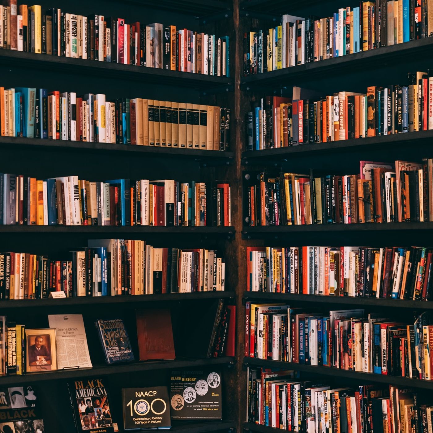Alla ricerca del libro