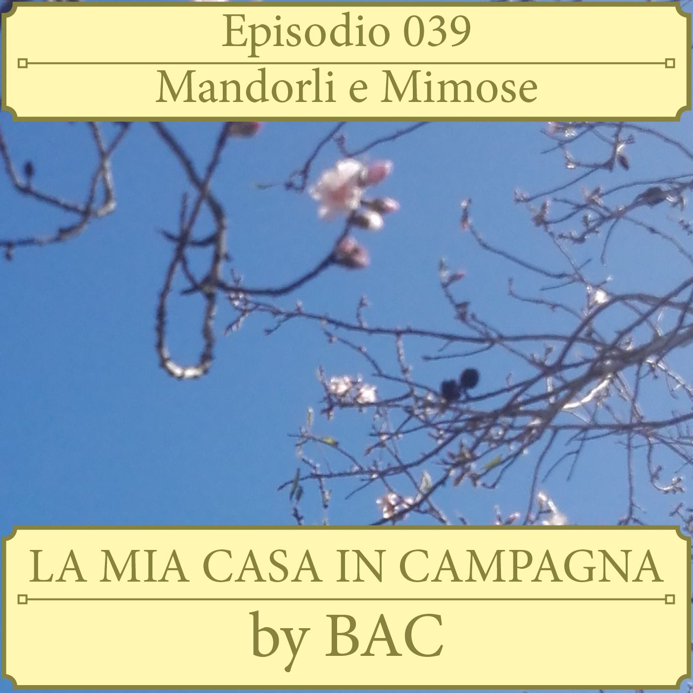 La Mia Casa In Campagna