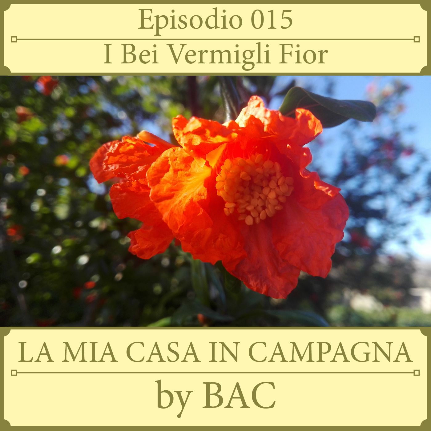 La Mia Casa In Campagna