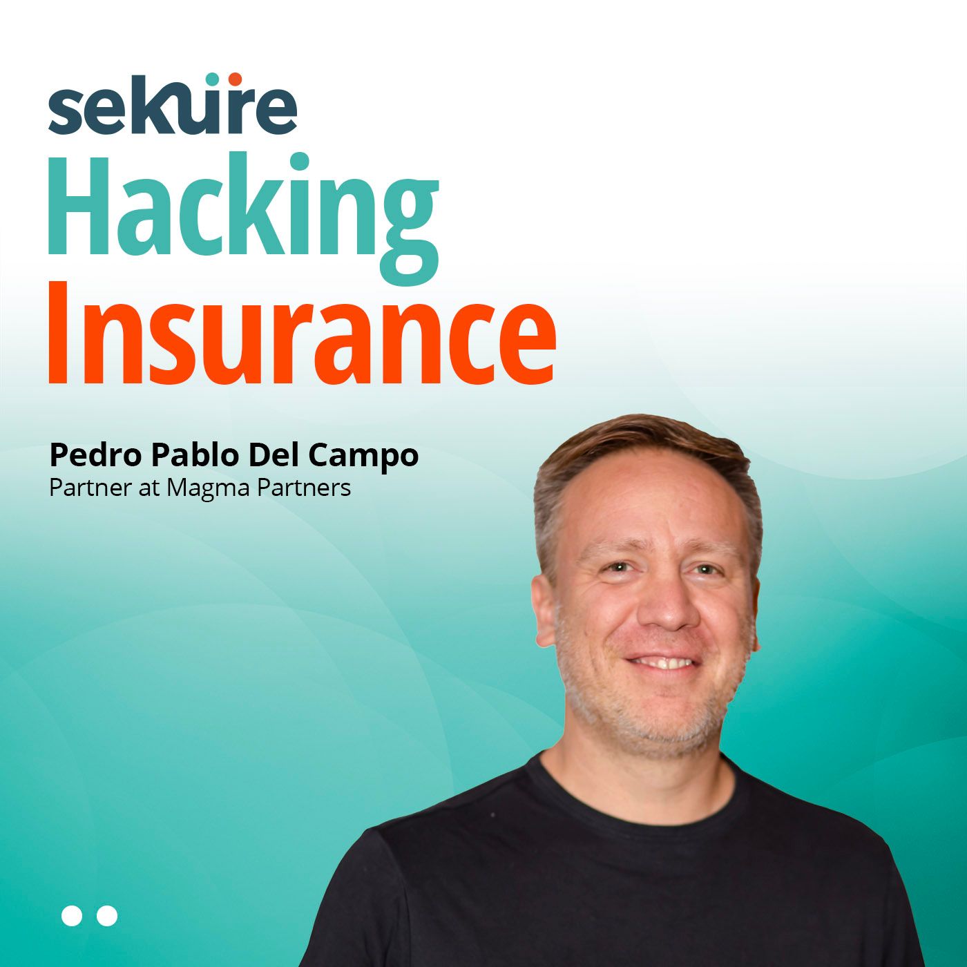 Hacking Insurance