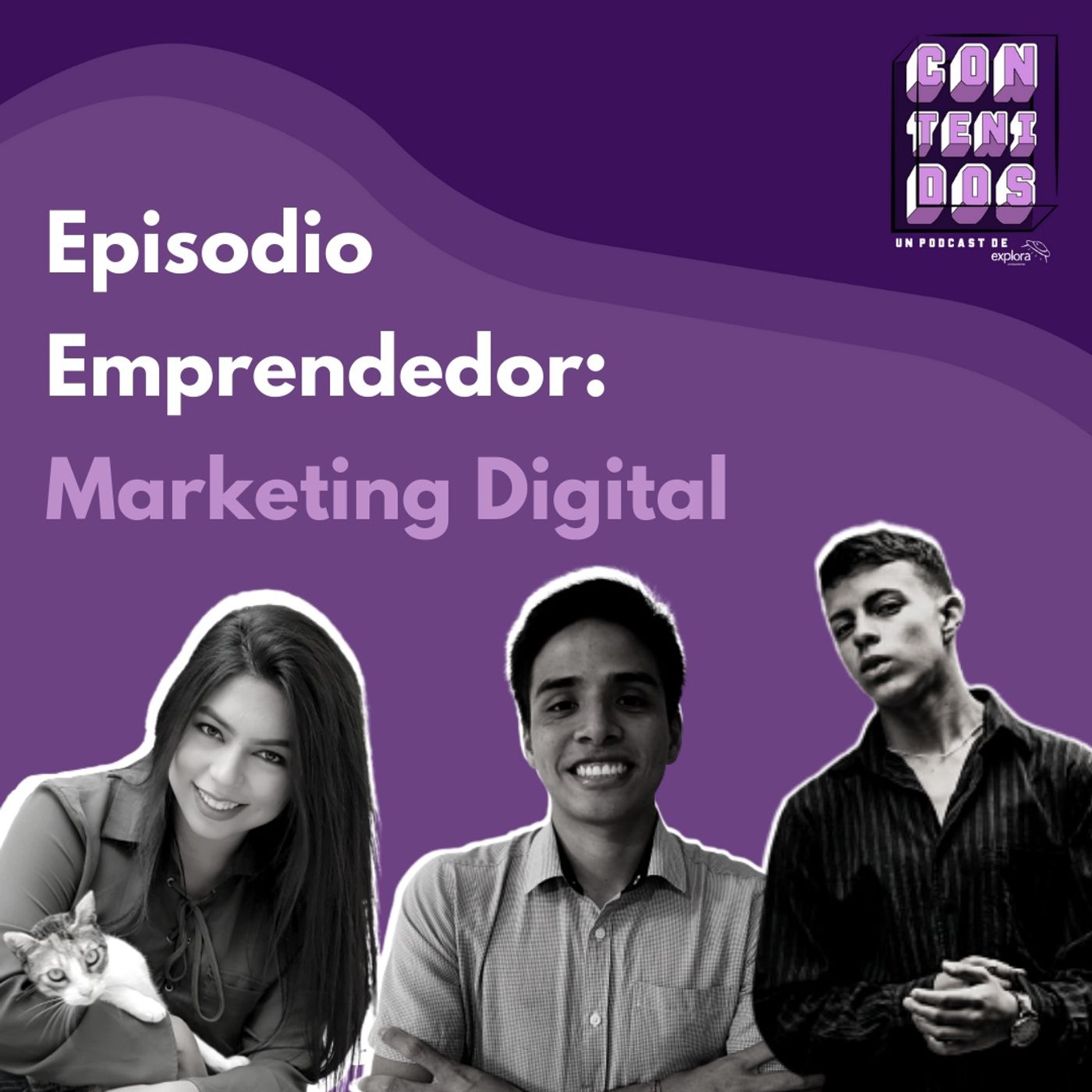 CONTENIDOS